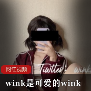 推特知名网红 wink是可爱的wink作品合集