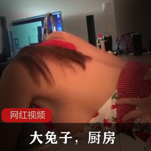 大兔子 厨房作品三部