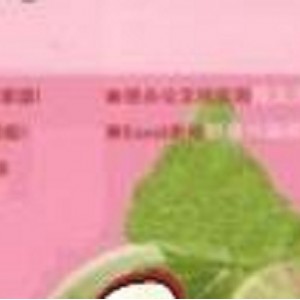 办公小帮手《超好学！Word／Excel高效办公》