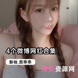 微博二次元四美私拍合集88部50G超绝反差