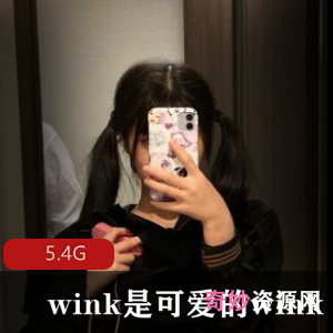 推特wink首次露脸合集88部5.4G太顶了