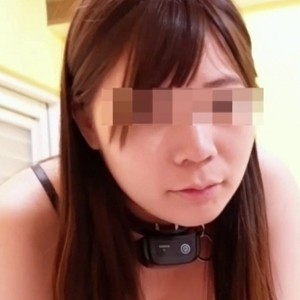 奴隶物语指教小狗51部合集28.2G优质珍藏