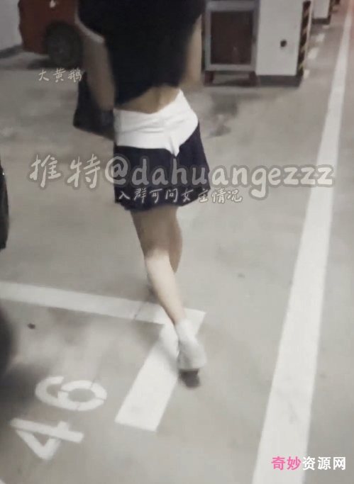 橘猫大黄鹅师生指导合集8.6G12V实战教学