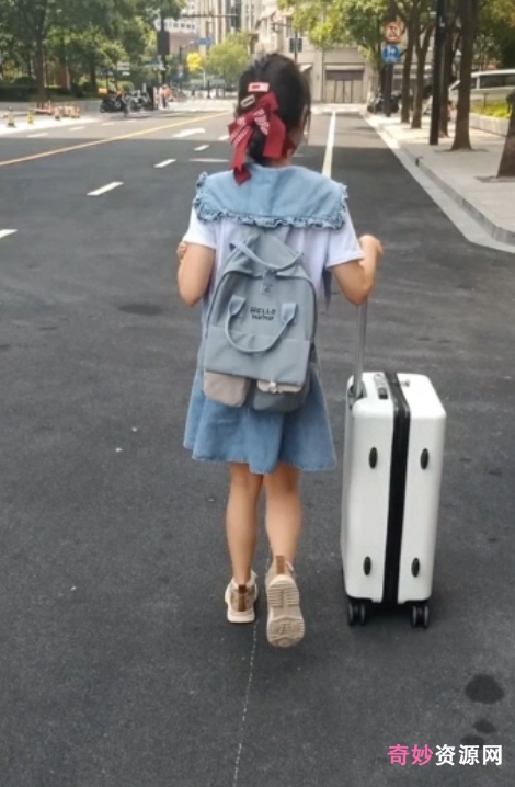 指教小狗LovELolita7训犬53v70g珍藏版